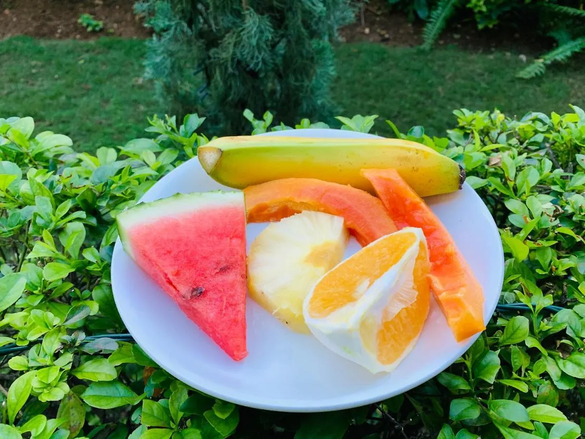 Mynt Retreat Bed & Breakfast Montego Bay
